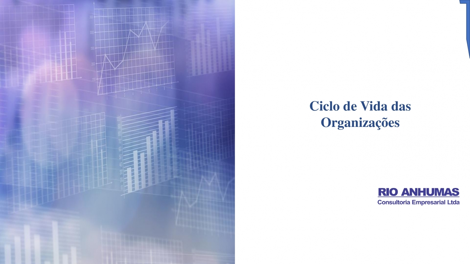 Artigo - Ciclo de Vida das Organizações