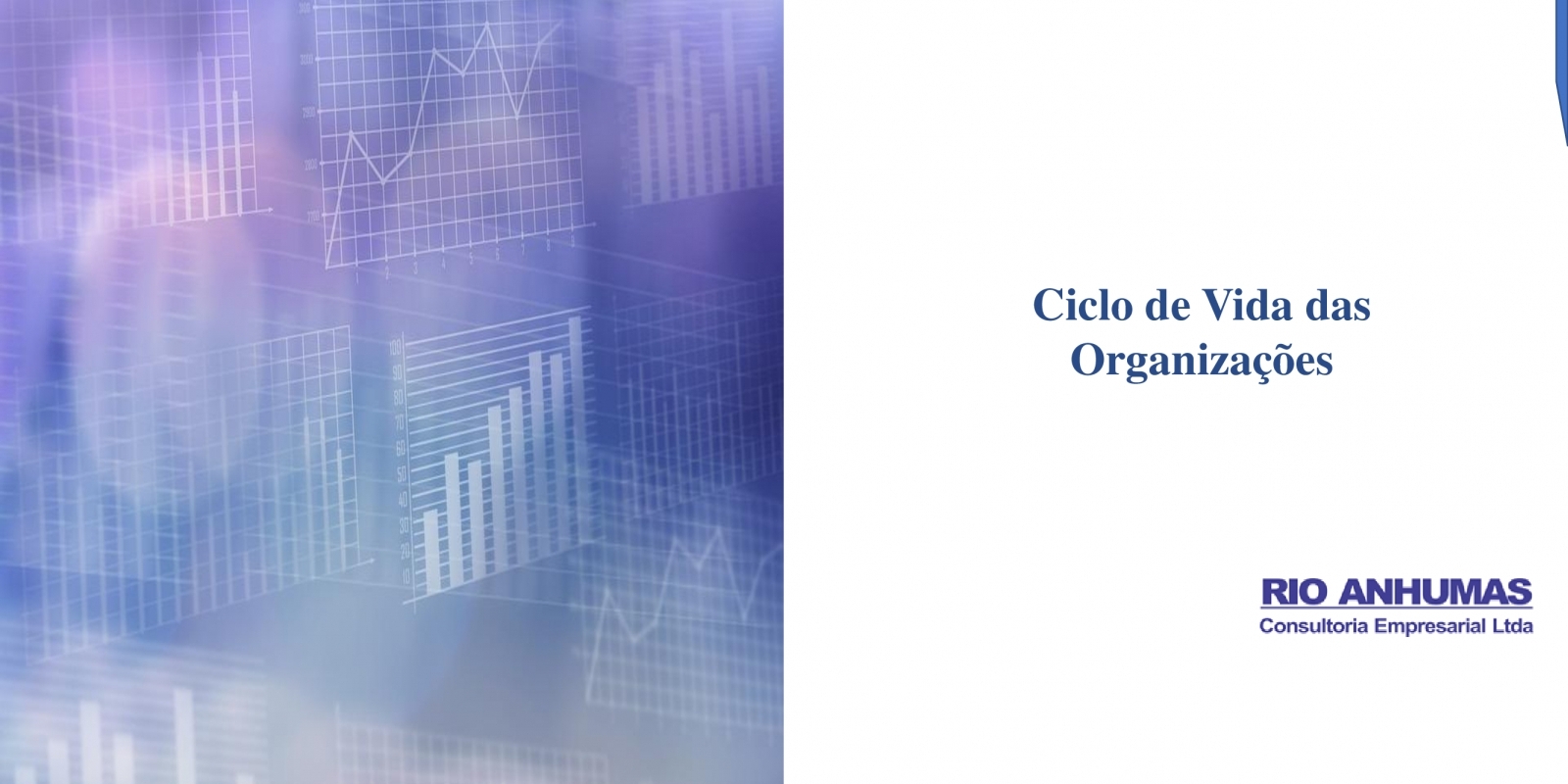 Artigo - Ciclo de Vida das Organizações Artigo - Ciclo de Vida das Organizações
