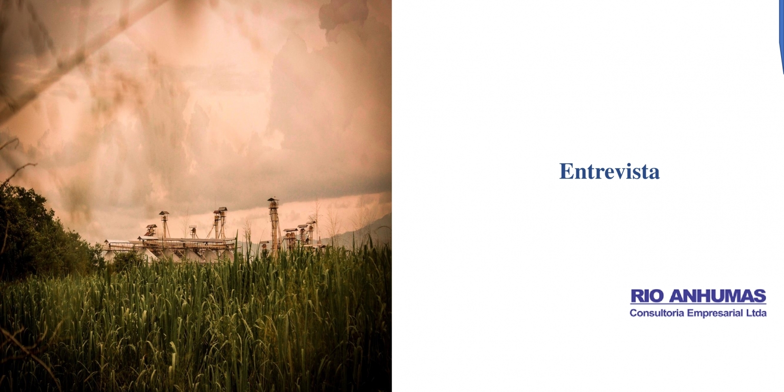 Próximas safras propiciam retomada de usinas Próximas safras propiciam retomada de usinas